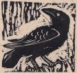 Hempel's Ravens Paradox